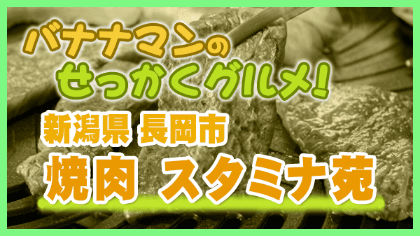 バナナマンのせっかくグルメ 新潟県 長岡市 焼肉 スタミナ苑