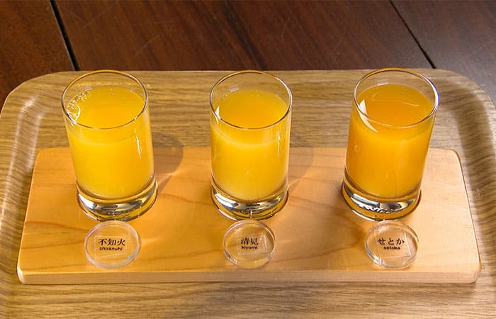 松山市 10FACTORY 松山本店 みかんジュースお試し3種セット プレミアム