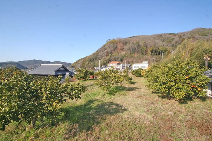 よ～いドン あいLOVE 週末 田舎暮らし 和歌山 海南市 紀美野町