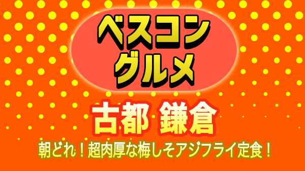 ベスコングルメ 神奈川 古都 鎌倉 アジフライ