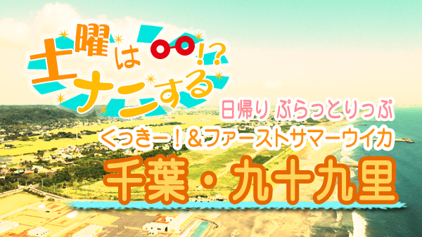 土曜はナニする 日帰り ぷらっとりっぷ 千葉 九十九里浜 くっきー！ ファーストサマーウイカ