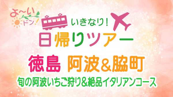 よーいドン いきなり日帰りツアー 徳島 阿波 脇町