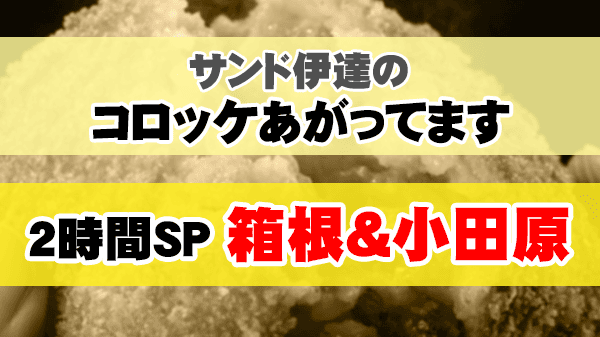 サンド伊達のコロッケあがってます 2時間SP 箱根 小田原