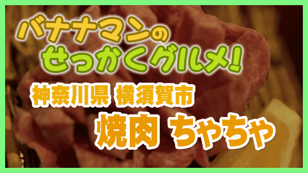 バナナマンのせっかくグルメ 神奈川県 横須賀市 焼肉 ちゃちゃ