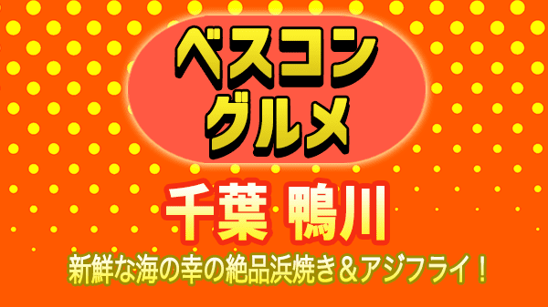 ベスコングルメ 千葉 房総半島 鴨川 浜焼き アジフライ