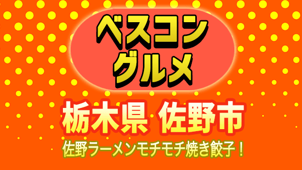 ベスコングルメ 栃木県 佐野市 佐野ラーメン 焼き餃子