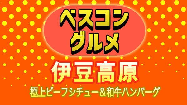 ベスコングルメ 伊豆高原 ビーフシチュー 和牛ハンバーグ