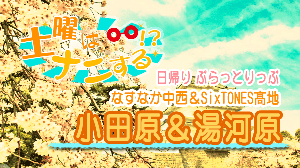 土曜はナニする 日帰り ぷらっとりっぷ 小田原 湯河原 なすなか中西 SixTONES髙地