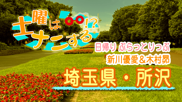 土曜はナニする 日帰り ぷらっとりっぷ 埼玉 所沢 新川優愛 木村昴