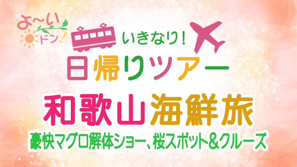 よーいドン いきなり日帰りツアー 和歌山 海鮮旅