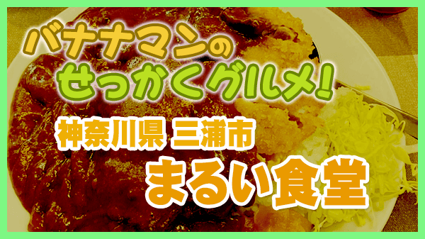 バナナマンのせっかくグルメ 神奈川県 三浦市 まるい食堂