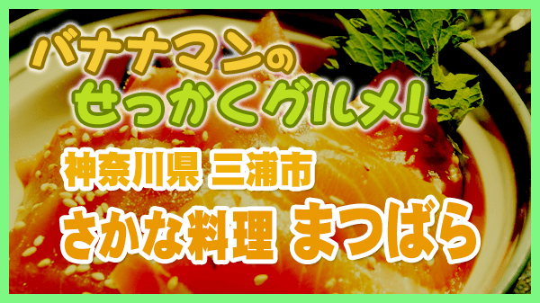 バナナマンのせっかくグルメ 神奈川県 三浦市 さかな料理 まつばら 海鮮丼
