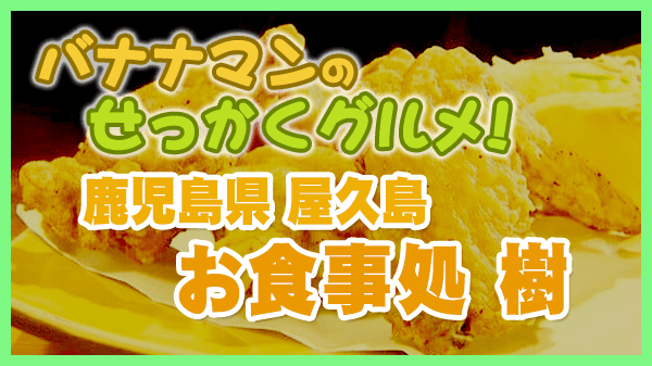 バナナマンのせっかくグルメ 鹿児島県 屋久島 お食事処 樹 鶏の唐揚げ