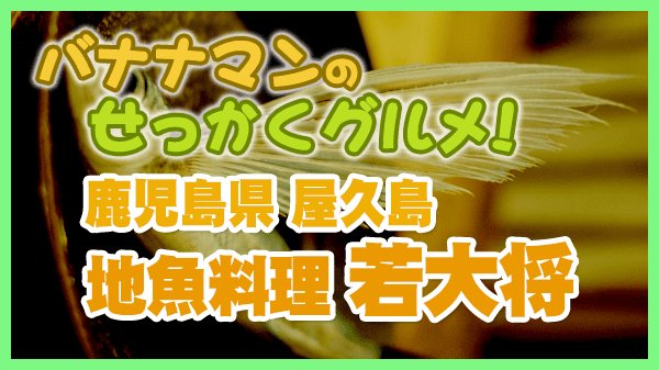 バナナマンのせっかくグルメ 鹿児島県 屋久島 地魚料理 若大将