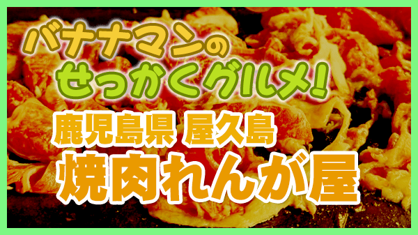 バナナマンのせっかくグルメ 鹿児島県 屋久島 焼肉 れんが屋