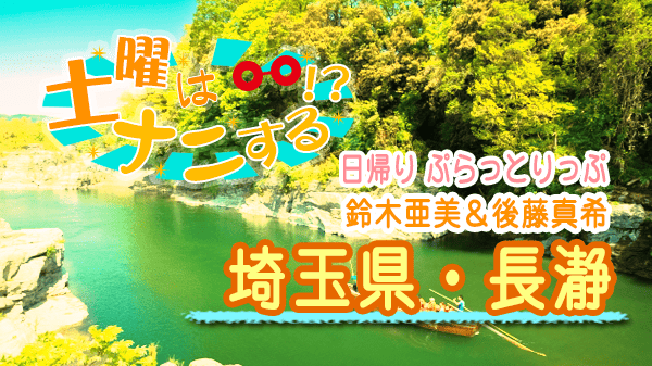 土曜はナニする 日帰り ぷらっとりっぷ 鈴木亜美 後藤真希 埼玉県 長瀞