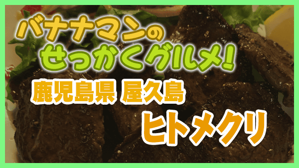 バナナンマンのせっかくグルメ 鹿児島 屋久島 ヒトメクリ 屋久鹿ステーキ
