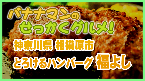 神奈川県 相模原市 とろけるハンバーグ 福よし 相模原本店