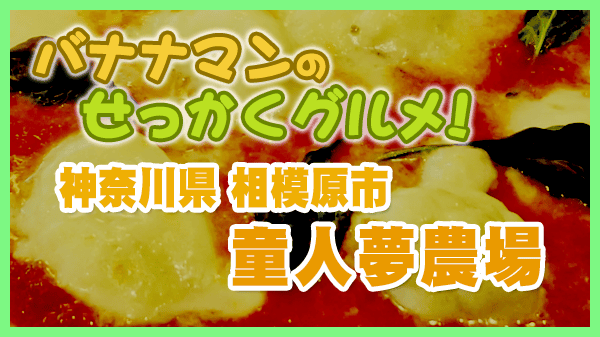 神奈川県 相模原市 童人夢農場 ドリームファーム ピザ 窯焼きピッツァ