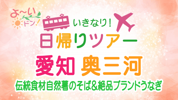 よーいドン いきなり日帰りツアー 愛知 奥三河
