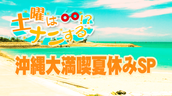 土曜はナニする 沖縄 夏休みSP