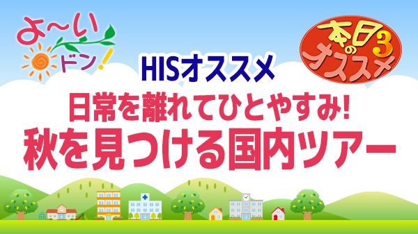 よ～いドン おすすめ３ H.I.S 国内旅行